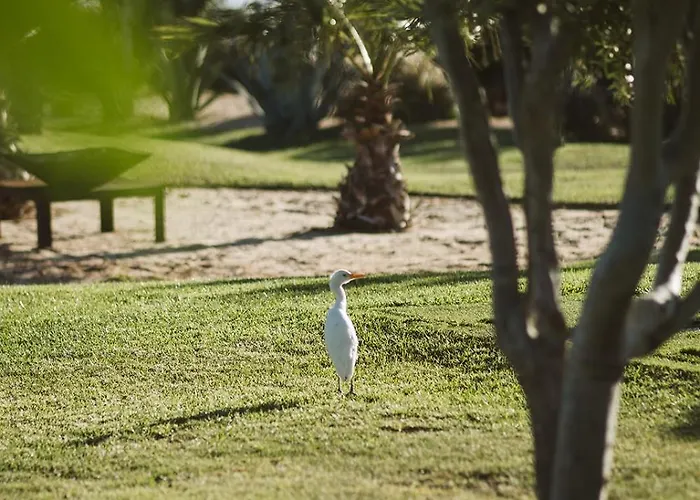 La Pausa Сasa de vacaciones *