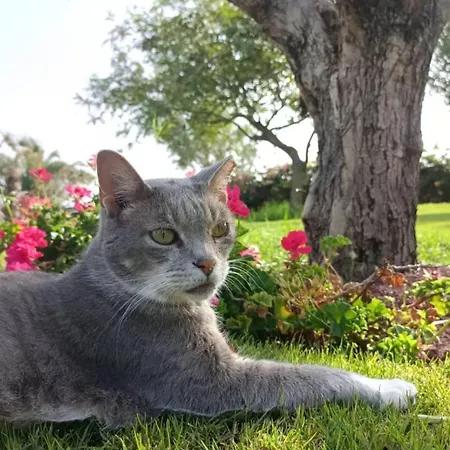 Casa vacanze La Pausa *