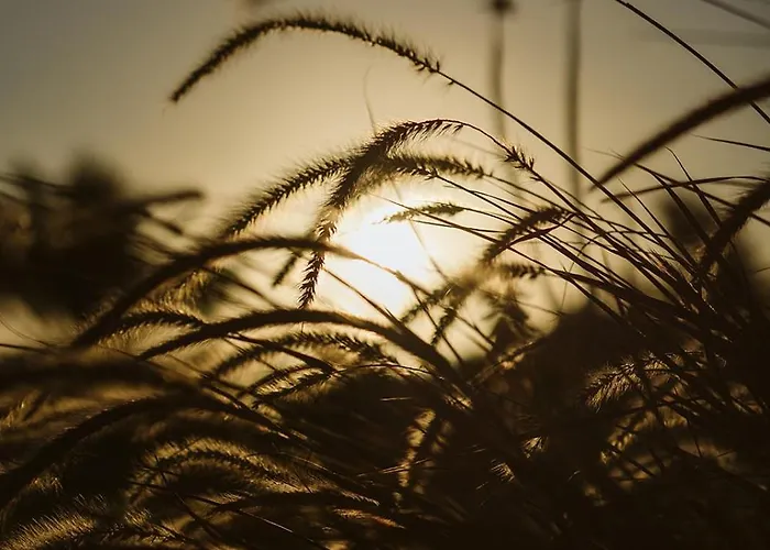 La Pausa Holiday home