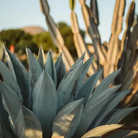 La Pausa Vakantiehuis *